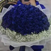 گل رز زیبا در رنگ و مدل های متنوع خاص پسند