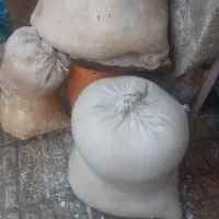 کمه و کره گوسفندی