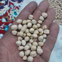 فروش‌نخود‌ابگوشتی|خوردنی و آشامیدنی|مینودشت, |دیوار