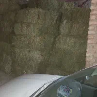 پرس یونجه