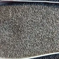 تخم شربتی اعلا|فعالیت داوطلبانه|فردیس, فردیس|دیوار