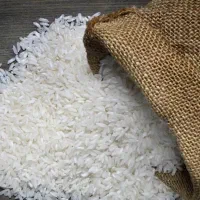 برنج صدری درجه 1 محصول امسال