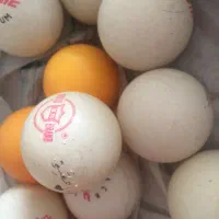 وسایل ورزشی