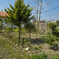 ویلا--- 625 متر زمین 110 متر بنا بر خیابان اصلی|فروش خانه و ویلا|لشت نشا, |دیوار