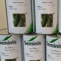 بذر خیار ۲ ان نادا