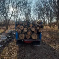 باسلام خریدارگردو سیب صنوبروغیر۰۰۰|خدمات باغبانی و درختکاری|نهاوند, |دیوار