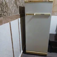 فریزرقندیل سالم سالم