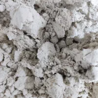 آردک برنج