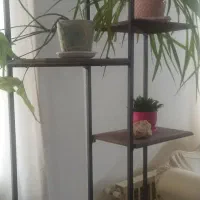 استند گل|گل و گیاه طبیعی|تهران, حکیمیه|دیوار