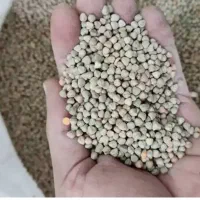 خرید گاودانه( کسن)