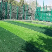 چمن تزیینی،چمن فوتبالی و متعلقات