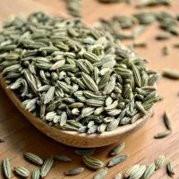 کنجاله مرغوب رازیانه برای افزایش اشتها وشیردهی دام|حیوانات مزرعه|خمینی‌شهر, |دیوار