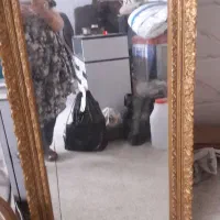 لوازم دست دوم|فروشگاه و مغازه|گلستان (تهران), |دیوار