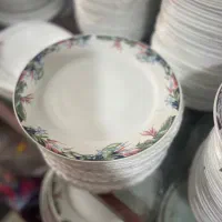 بشقا ب ودیس