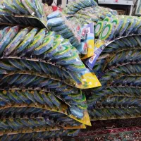 تولید انواع اسکاج اشپزخانه|لوازم نظافت|اراک, |دیوار