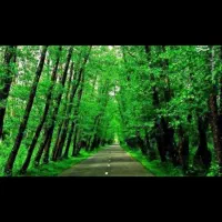 ۰۹۱۱۴۱۱۹۰۵۲