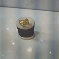 انگشتر نو و شرکتی اول  اخر ۳ درصد