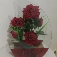 گل زیبا