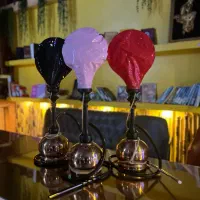 جذب نیرو در لونا