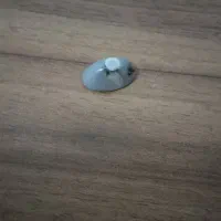 نگین شجر اصل