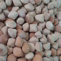 قوروت گوسفندی