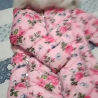 تعدادی لباس بچگانه دخترانه|کفش و لباس بچه|میاندوآب, |دیوار