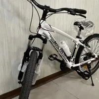 دوچرخه حرفه ای کوهستانی