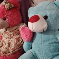 دو تا خرس تمیز در حد آک|اسباب‌‌بازی|اهواز, زیتون کارمندی|دیوار