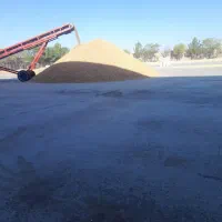 کارگر باهوش و از لحاظ بدنی سالم