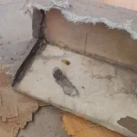 دوستان کسی کاردرمنزل سراغ نداره