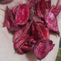 گل خشک عمده به قیمت