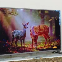 تلویزیون صنام 55اینچ|تلویزیون و پروژکتور|بهار, |دیوار