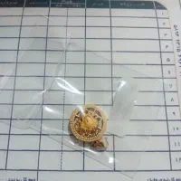 پخش طلاجات نو با درصد کم|جواهرات|میاندوآب, |دیوار