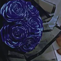 ساخت گل های روبانی|گل مصنوعی|گرگان, |دیوار