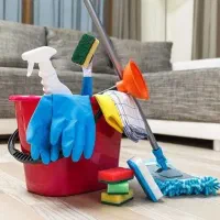 خدمات نظافت (VIP)