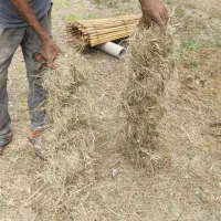 علف بسته بندی شده