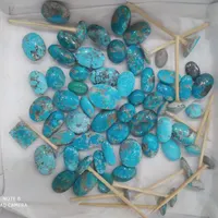 بارخونه وتک فیروزه نیشابور و شهربابک وکرمان طبیعی