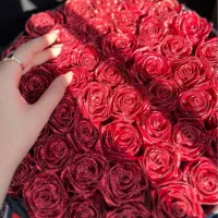 گل.گل روبانی.دسته گل.جاودانی|گل مصنوعی|یاسوج, |دیوار