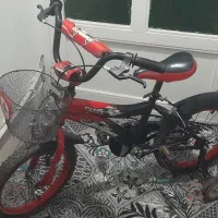 دو عدد دوچرخه