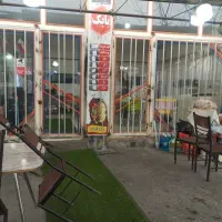 شاطر برای کبابی