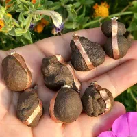 هبهاب خاص و کمیاب ومهره برد|جواهرات|بوشهر, |دیوار