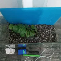 آکواریوم با تمام لوازم یکجا