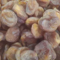 زردآلو خشک خانگی خوشطعم و مرغوب|خوردنی و آشامیدنی|تبریز, |دیوار