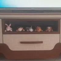 زیر تلویزیون تمیز