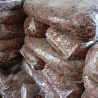 خرما ضایعاتی افت کبکاب