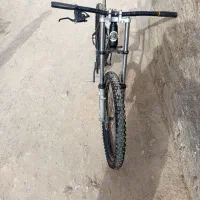 دوچرخه ویوا حرفه ای