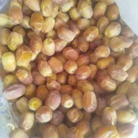 فروش قصب درجه یک