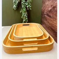 ظروف پیرکس و بامبو