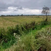 زمین زراعیی با سهمیه آب دائم
