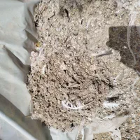 زل کبوتر|خدمات باغبانی و درختکاری|اصفهان, ارغوانیه|دیوار